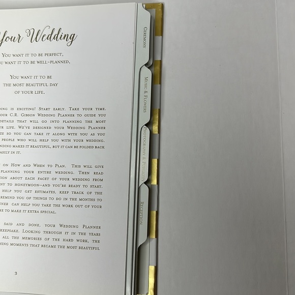 BRIDE BUNDLE Wedding planner, Mr Mrs Burlap Wine Bag Bachelorette Cups Stirrers - Picture 12 of 16